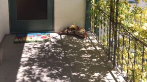 Un porche techado con una puerta, una alfombra pequeña y una planta.