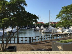 Stroll along the marina's walkway, surrounded by trees and picturesque views.