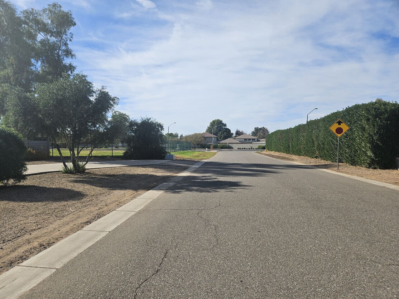 A residential street with a speed bump sign, houses, and a clear sky.