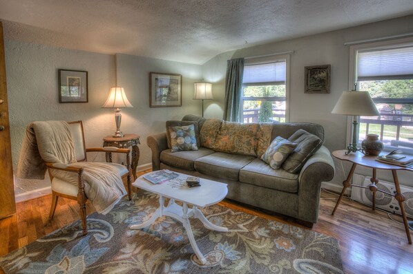 TV, DVD player, books, video library