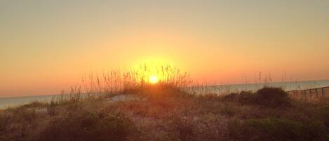 Ein Sonnenuntergang über einem Strand mit Dünen und einem Holzzaun im Vordergrund.