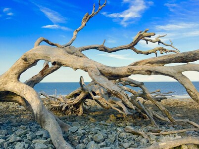 A Beach, Golf, Tennis and Fun for the whole family Sandy Toes & Salty Kisses A