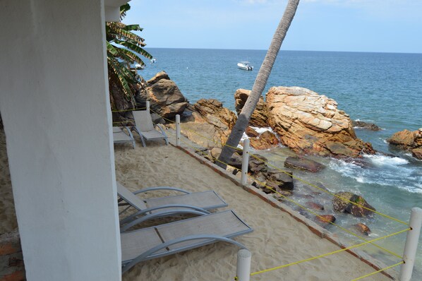 A beach with lounge chairs, a palm tree, and a rocky shoreline.