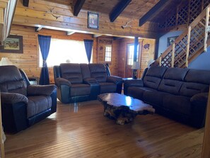 TV, fireplace, DVD player, video library