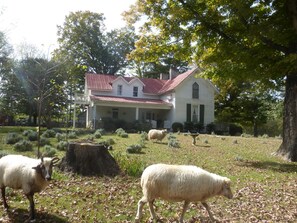 Une maison blanche avec un toit rouge et une véranda, entourée d’arbres et d’herbe.