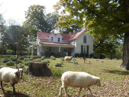 Cozy Cottage at Lavender Farm near Jack Daniel's Distillery, with breakfast
