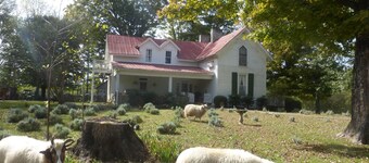 Cozy Cottage at Lavender Farm near Jack Daniel's Distillery, with breakfast