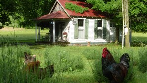 Une maison rustique dotée d’un porche, entourée d’herbes hautes et d’arbres.