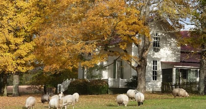 Cozy Cottage at Lavender Farm near Jack Daniel's Distillery, with breakfast