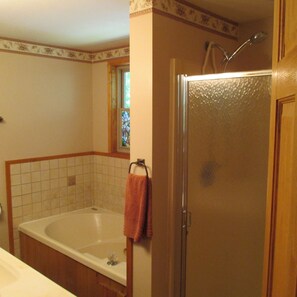 Regadera, tina de hidromasaje, secadora de cabello, toallas 