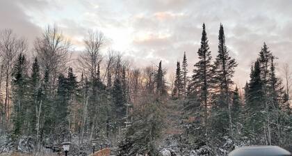 The Cedar House Is Uniquely Set In The Forest Surrounded By Decks And Porches.