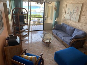 TV connectée, lecteur de DVD, livres, vidéothèque