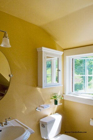 A bathroom with a sink, toilet, and a window with a view of greenery.
