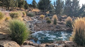 A natural landscape with a small pond surrounded by rocks and various plants. - Bend Country 4 BR/3 Bth, Amazing 9 Mt View, 9 acre, Peaceful Getaway (Terrebonne)