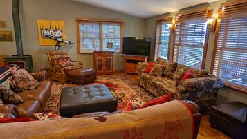 TV connectée, cheminée, lecteur de DVD, livres