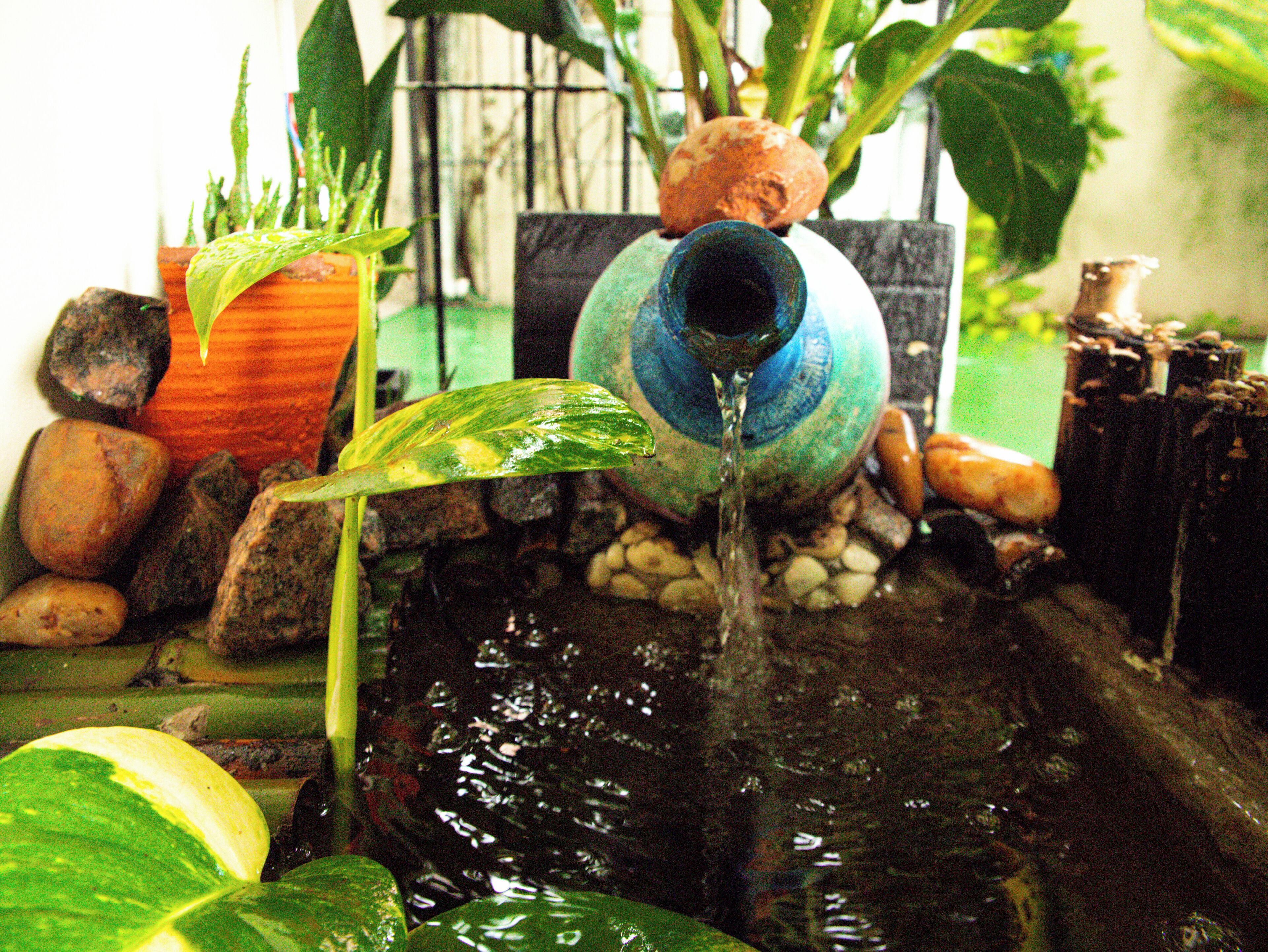 Foto - Pousada Residencial Porto de Galinhas