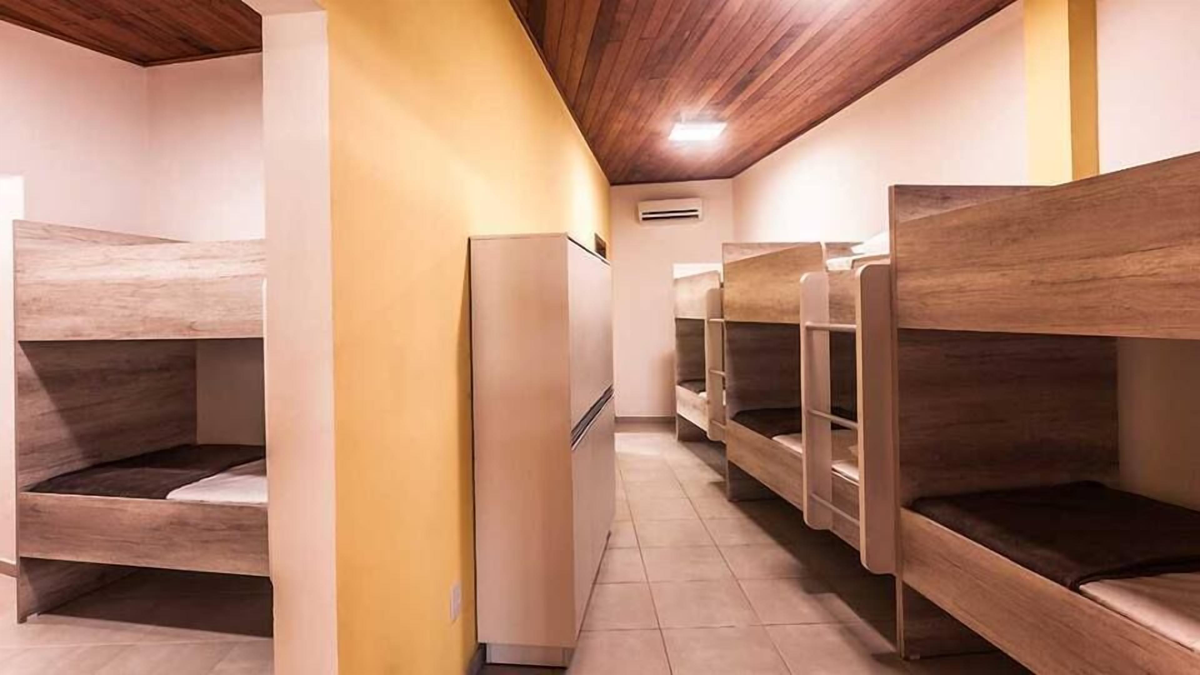 Shared Dormitory, Mixed Dorm (5 bunk beds) | View from room