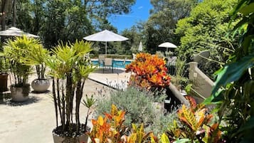 Outdoor pool, sun loungers
