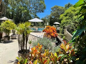 A poolside area with potted plants, umbrellas, and a pool. - Villa Serena Bed&Breakfast (Embu das Artes)
