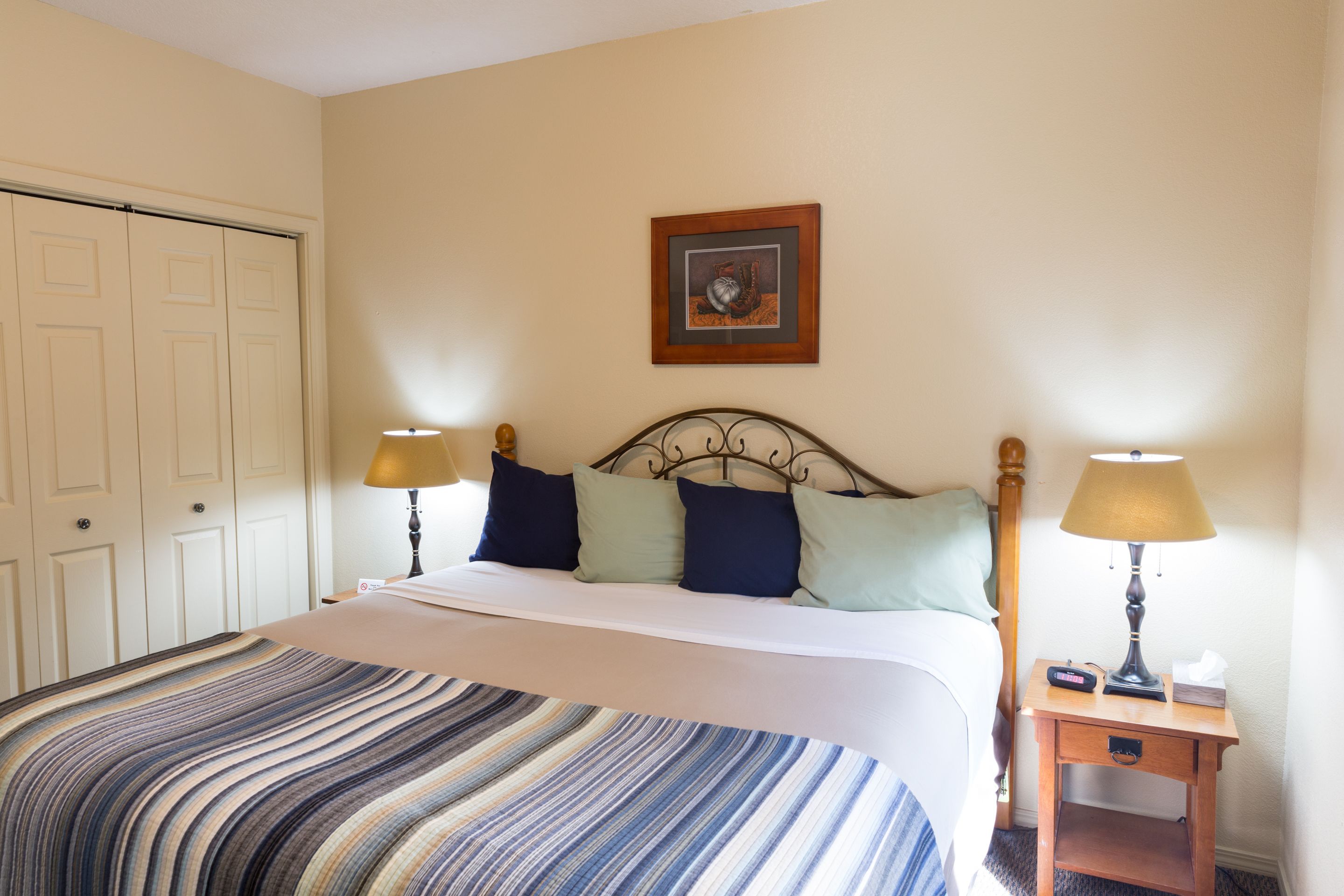 basic room, 1 king bed, accessible, refrigerator | iron/ironing board, free wifi, bed sheets, wheelchair access