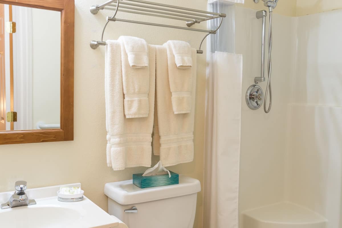 basic suite, 1 bedroom, refrigerator, river view | bathroom | free toiletries, hair dryer, towels