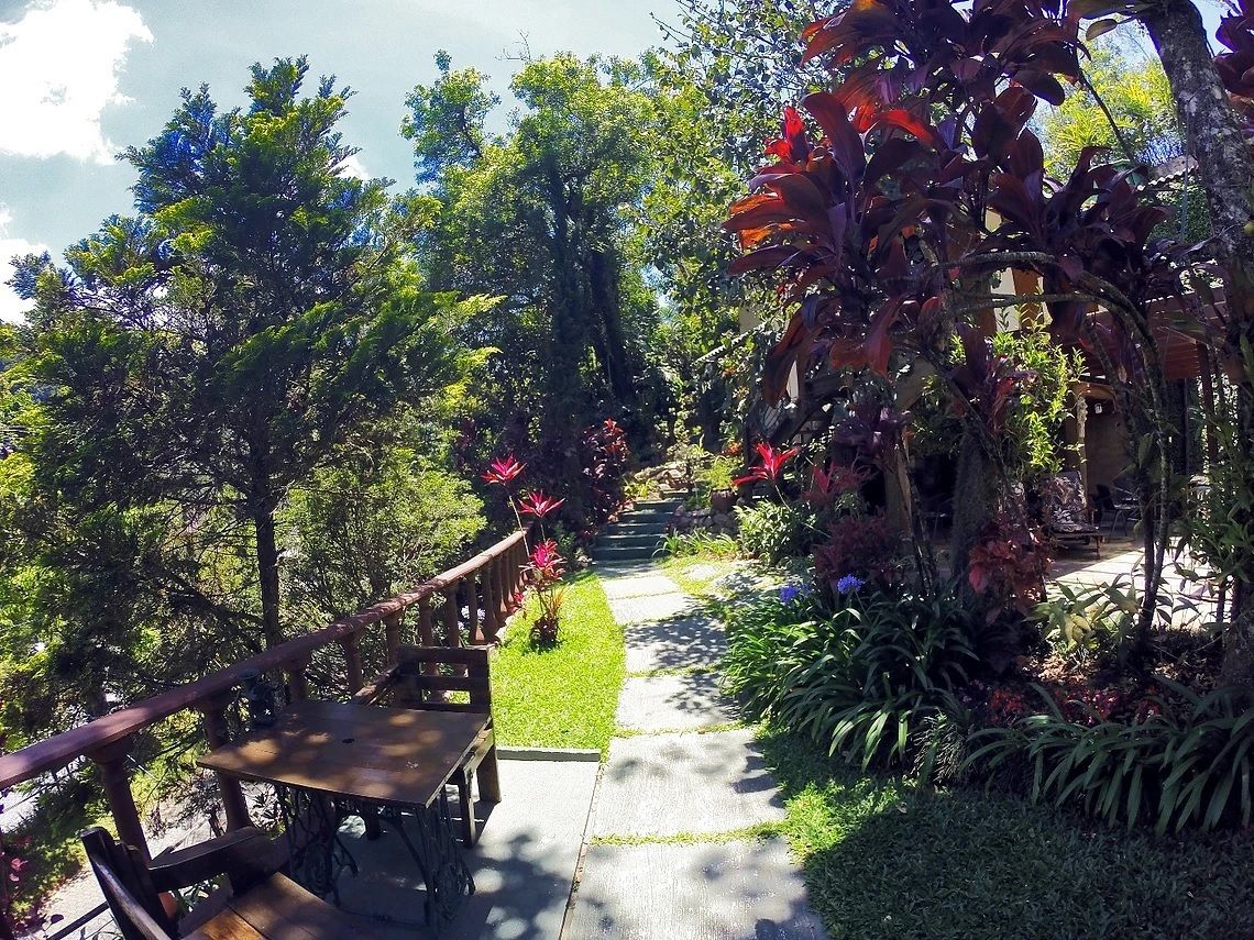 A garden pathway with a wooden bench and table, surrounded by lush greenery and plants.
