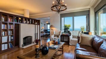 TV connectée, cheminée, livres, chaîne hi-fi