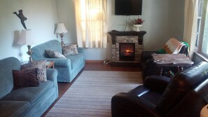 Télévision, cheminée, jeux vidéo, lecteur de DVD