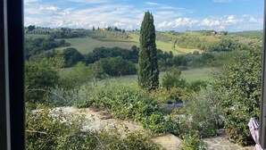 Vista desde una ventana que da a un paisaje campestre con colinas ondulantes, un alto ciprés y edificios lejanos.