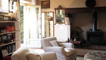 Smart TV, fireplace, books, music library