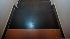 Una escalera conduce a un rellano con una araña y una planta.