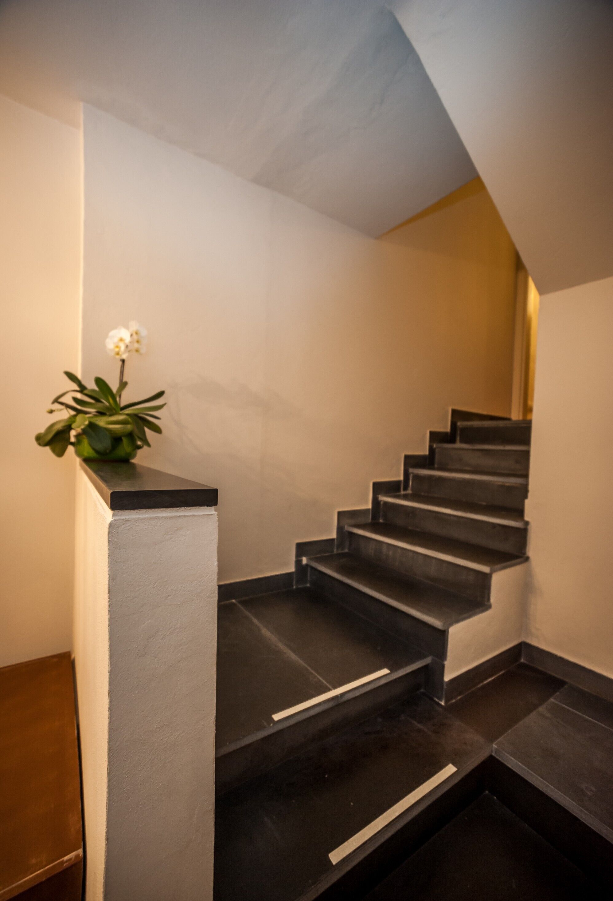 Un escalier avec des marches sombres et des murs blancs, menant à un palier.