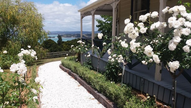 A pathway leading to a building with a covered porch and white roses. - Kauri Villas (Parua Bay)
