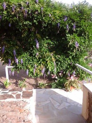Property grounds - Detached villa in the Provencal countryside between Hyeres and St Tropez (Collobrières)