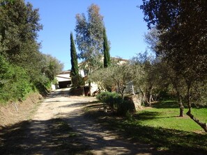 Property grounds - Detached villa in the Provencal countryside between Hyeres and St Tropez (Collobrières)
