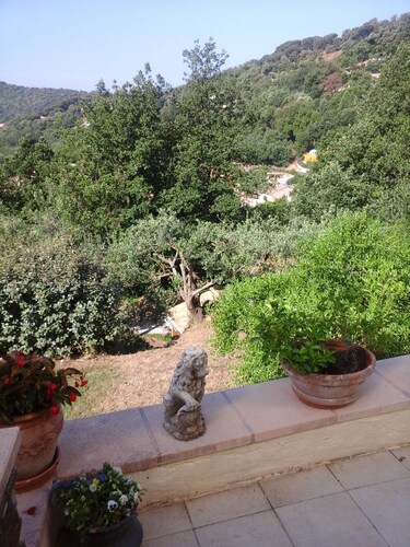 Frei stehende Villa in der Provence Landschaft zwischen Hyères und St. Tropez