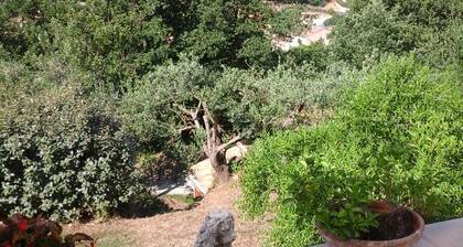 Frei stehende Villa in der Provence Landschaft zwischen Hyères und St. Tropez