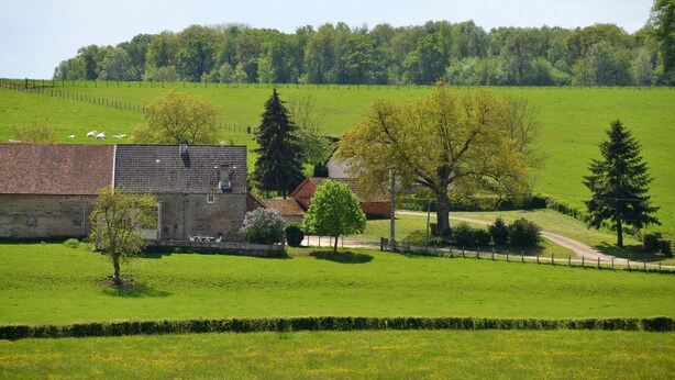 Een landelijk landschap met een stenen gebouw, een omheind veld en een bos in de verte.