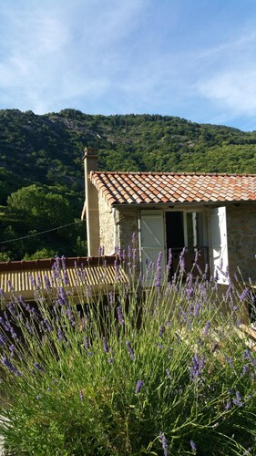 Renovated stone house private next to river, Welcoming and very well equipped