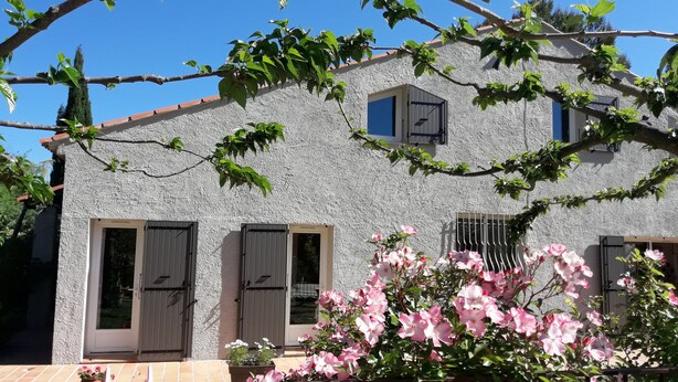 A two-story house with a textured exterior, a balcony, and a garden with pink flowers.