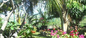 Apartment classified 2 stars in lush greenery near sea and mountains