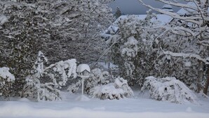 Un paysage enneigé avec des arbres et une clôture.