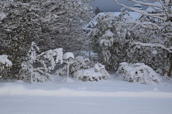 A snow-covered landscape with trees and a fence. - Gite with private entrance and parking / patio. At the foot of the BALLON D'ALSACE (Rougegoutte)