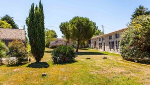 Un patio con un edificio de piedra, un ciprés alto y diversas arbustos y plantas.