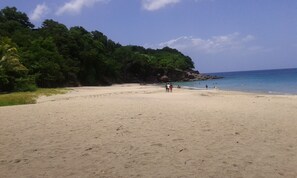 Playa en los alrededores 