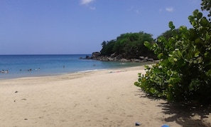Una playa con agua cristalina, una orilla arenosa y algo de vegetación.