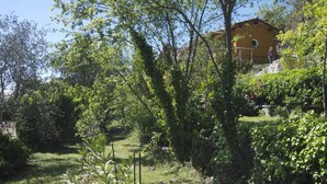 A house surrounded by lush greenery and trees.