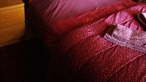 A bedroom with a wooden wall panel design, a large bed with a headboard, two bedside tables with lamps, and a red bedspread.