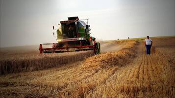 A combine harvester in a field with a person standing nearby.