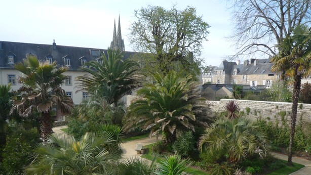 Un rigoglioso giardino con palme e un vialetto.